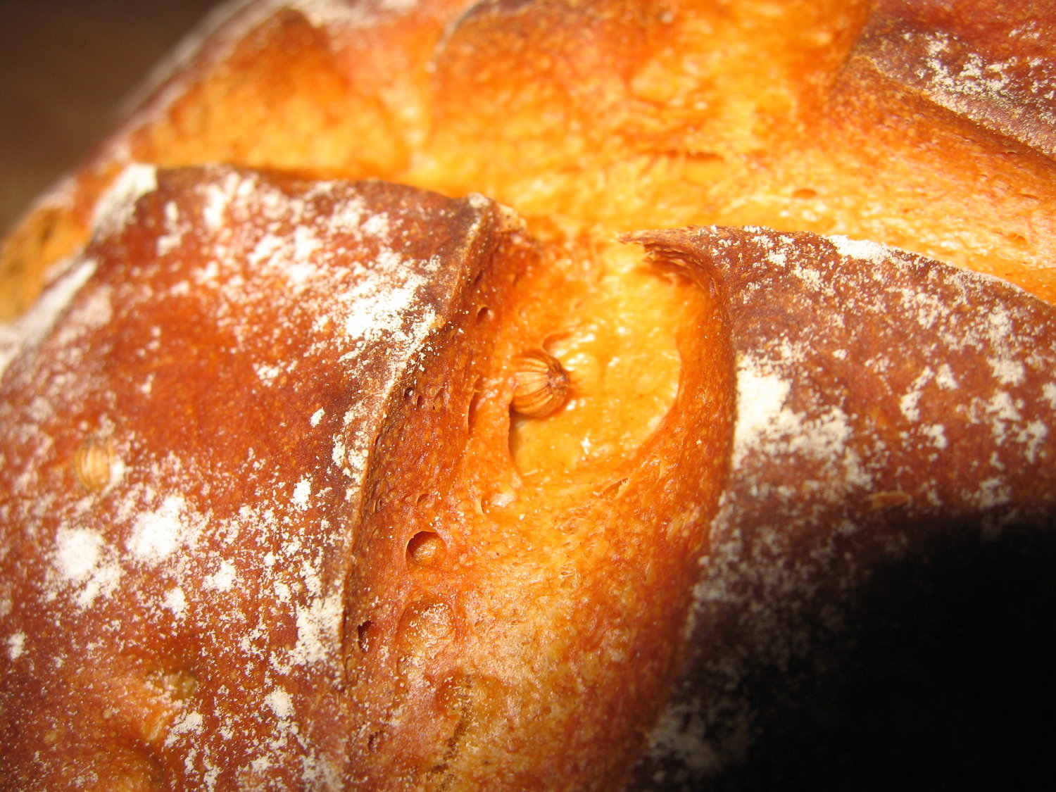 Topfen-Gewürzbrot… – blog.flo.cx