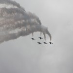 Royal Saudi Hawks